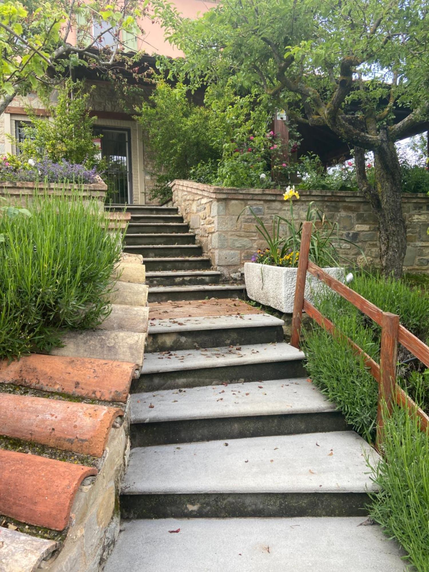 فيلا Agriturismo I Tassoni بافولو نيل فرينانو المظهر الخارجي الصورة